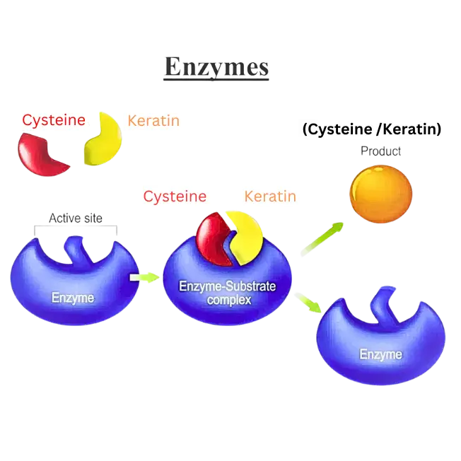 "The Science Behind T3's Texture Transform Technology!"