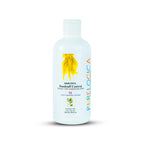 Anti Dandruff Shampoo